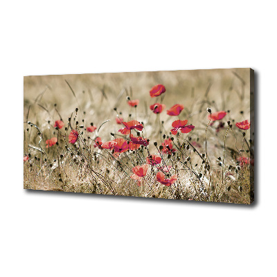 Cuadro canvas moderno de gran formato horizontal Amapolas