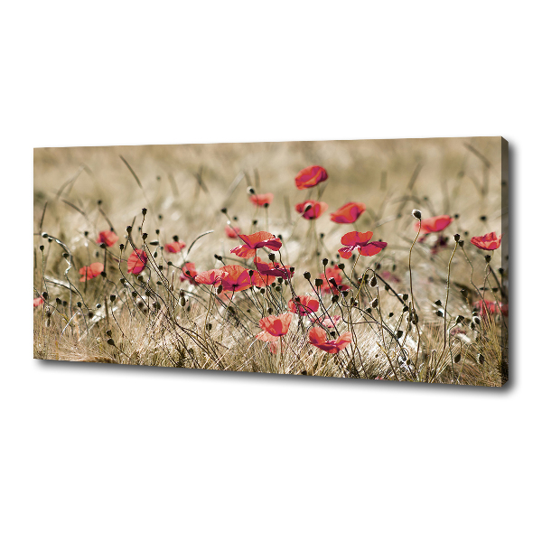Cuadro canvas moderno de gran formato horizontal Amapolas