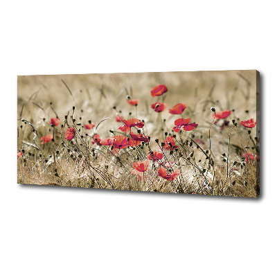 Cuadro canvas moderno de gran formato horizontal Amapolas