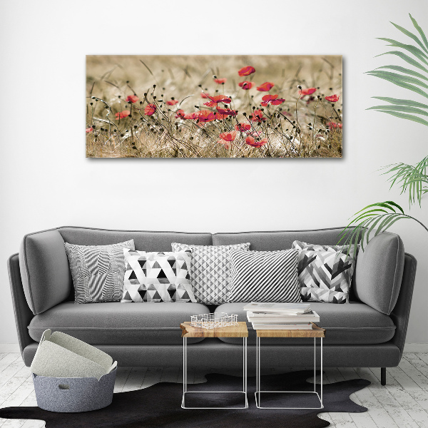 Cuadro canvas moderno de gran formato horizontal Amapolas