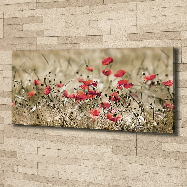 Cuadro canvas moderno de gran formato horizontal Amapolas