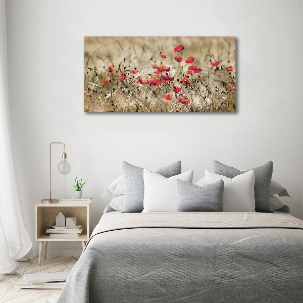 Cuadro canvas moderno de gran formato horizontal Amapolas