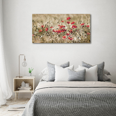 Cuadro canvas moderno de gran formato horizontal Amapolas