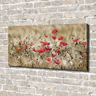 Cuadro canvas moderno de gran formato horizontal Amapolas