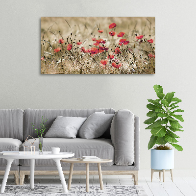 Cuadro canvas moderno de gran formato horizontal Amapolas