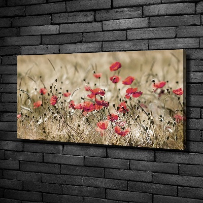 Cuadro canvas moderno de gran formato horizontal Amapolas