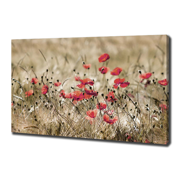 Cuadro canvas moderno de gran formato horizontal Amapolas