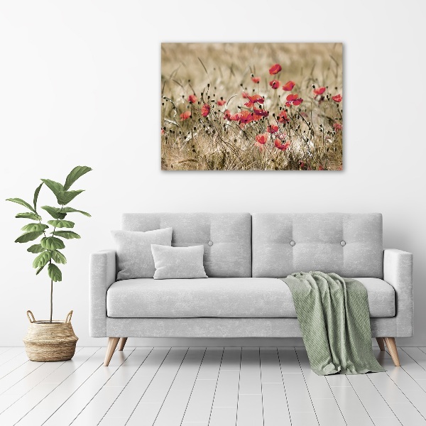 Cuadro canvas moderno de gran formato horizontal Amapolas