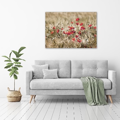 Cuadro canvas moderno de gran formato horizontal Amapolas