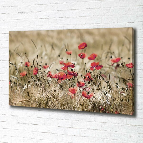 Cuadro canvas moderno de gran formato horizontal Amapolas
