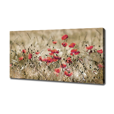 Cuadro canvas moderno de gran formato horizontal Amapolas
