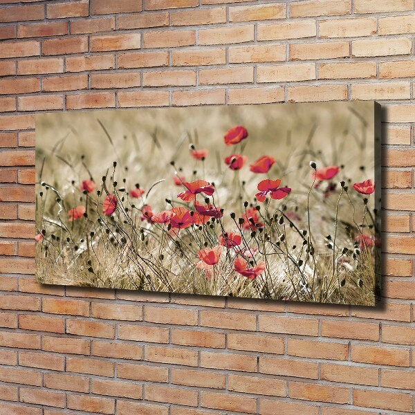 Cuadro canvas moderno de gran formato horizontal Amapolas