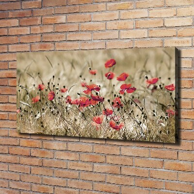Cuadro canvas moderno de gran formato horizontal Amapolas