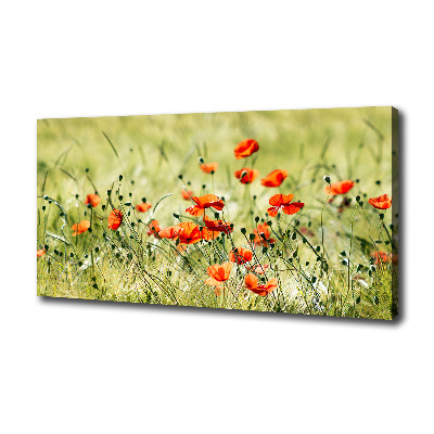 Cuadro canvas con impresión uv duradera horizontal Amapolas
