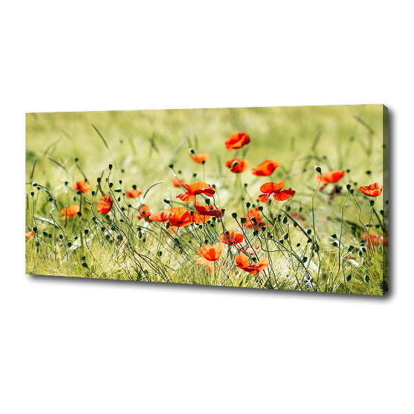 Cuadro canvas con impresión uv duradera horizontal Amapolas