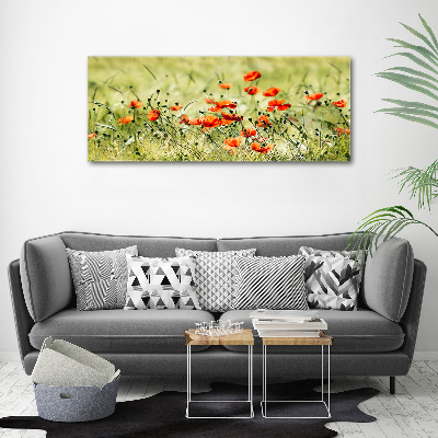 Cuadro canvas con impresión uv duradera horizontal Amapolas