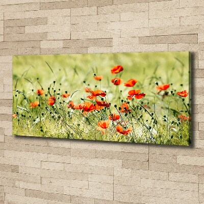 Cuadro canvas con impresión uv duradera horizontal Amapolas