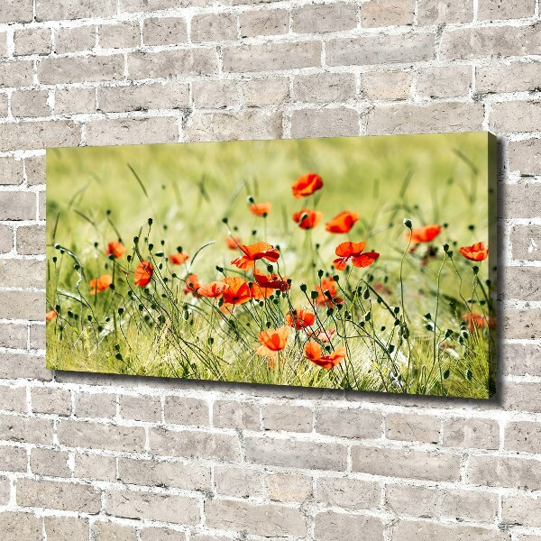 Cuadro canvas con impresión uv duradera horizontal Amapolas