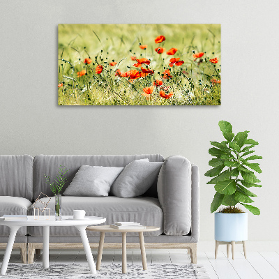 Cuadro canvas con impresión uv duradera horizontal Amapolas