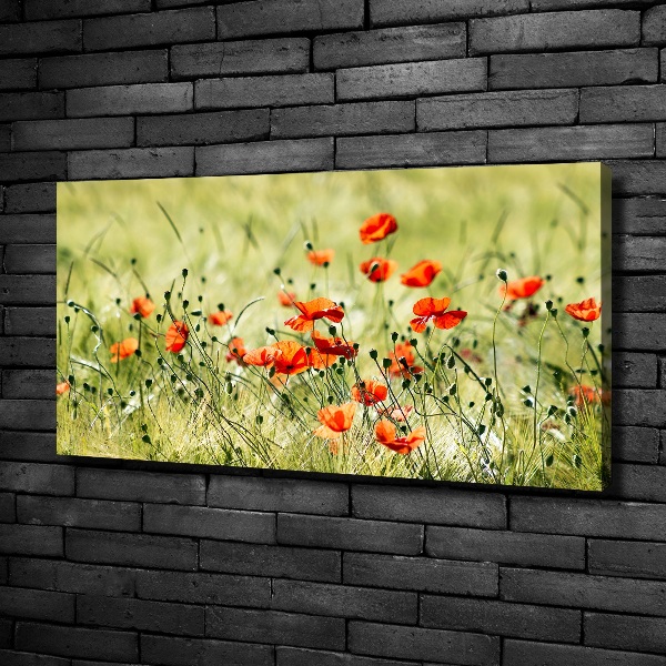 Cuadro canvas con impresión uv duradera horizontal Amapolas