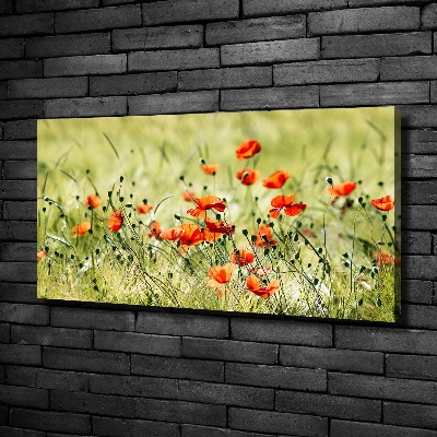Cuadro canvas con impresión uv duradera horizontal Amapolas