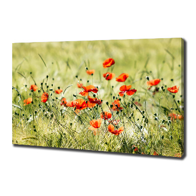 Cuadro canvas con impresión uv duradera horizontal Amapolas