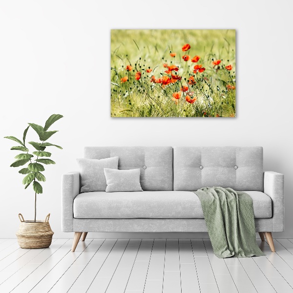 Cuadro canvas con impresión uv duradera horizontal Amapolas