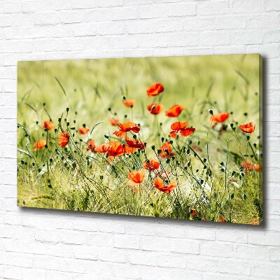 Cuadro canvas con impresión uv duradera horizontal Amapolas