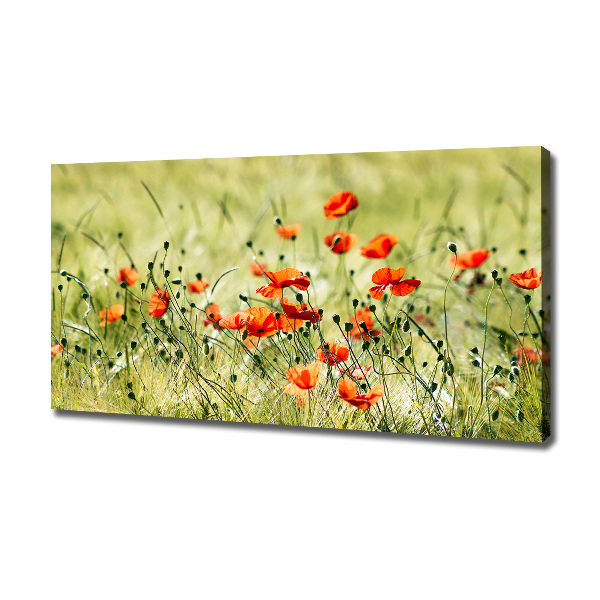 Cuadro canvas con impresión uv duradera horizontal Amapolas