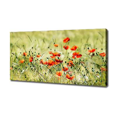 Cuadro canvas con impresión uv duradera horizontal Amapolas