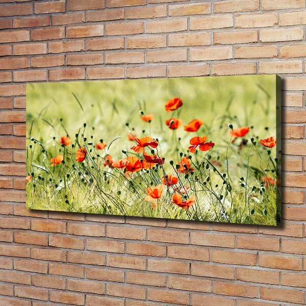 Cuadro canvas con impresión uv duradera horizontal Amapolas