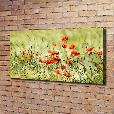 Cuadro canvas con impresión uv duradera horizontal Amapolas