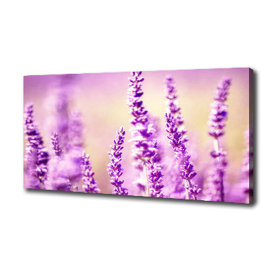 Cuadro canvas moderno de gran formato horizontal Lavanda