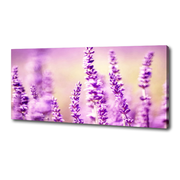 Cuadro canvas moderno de gran formato horizontal Lavanda