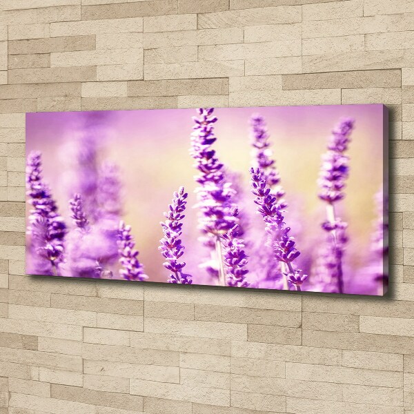 Cuadro canvas moderno de gran formato horizontal Lavanda