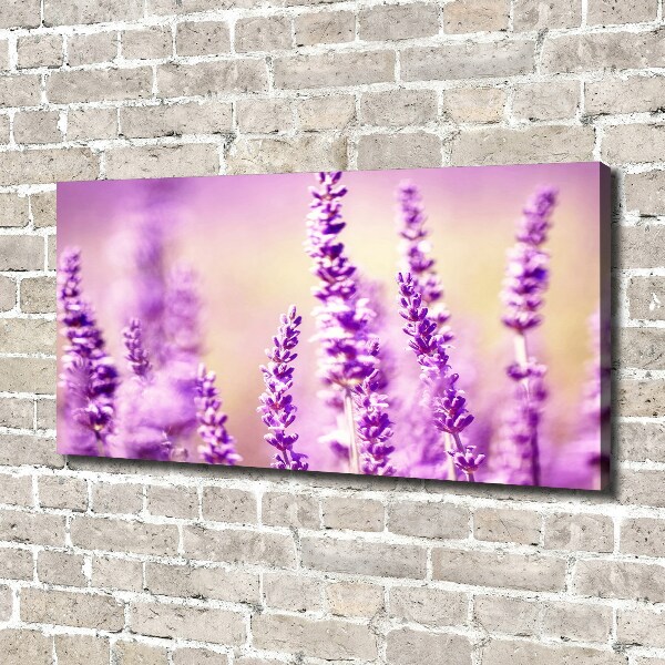 Cuadro canvas moderno de gran formato horizontal Lavanda