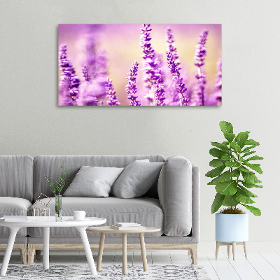Cuadro canvas moderno de gran formato horizontal Lavanda