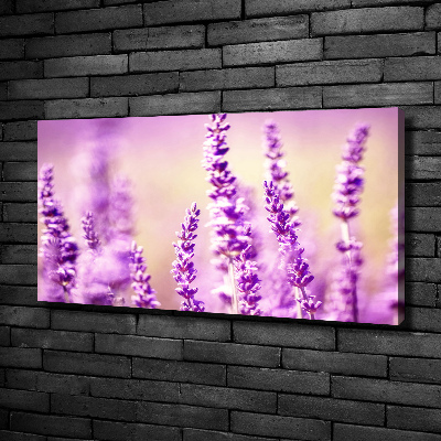 Cuadro canvas moderno de gran formato horizontal Lavanda