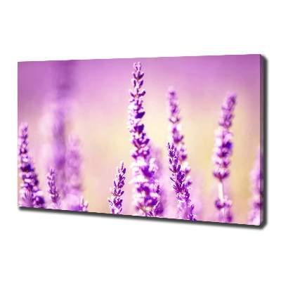 Cuadro canvas moderno de gran formato horizontal Lavanda