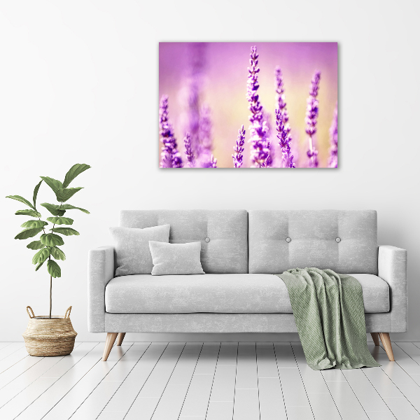 Cuadro canvas moderno de gran formato horizontal Lavanda