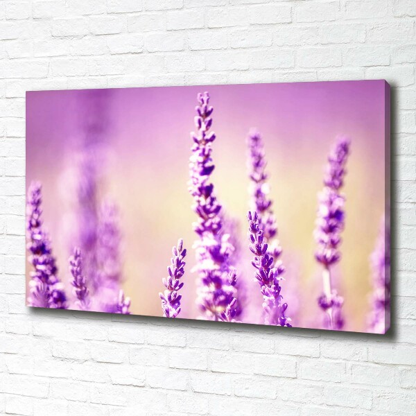 Cuadro canvas moderno de gran formato horizontal Lavanda