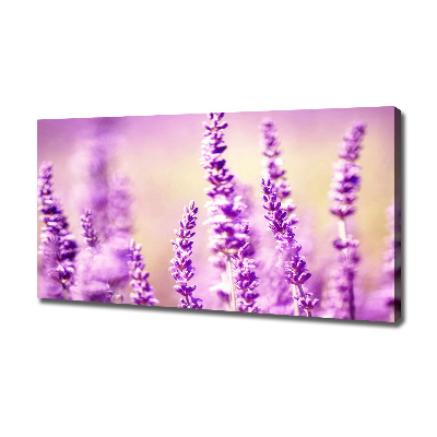 Cuadro canvas moderno de gran formato horizontal Lavanda