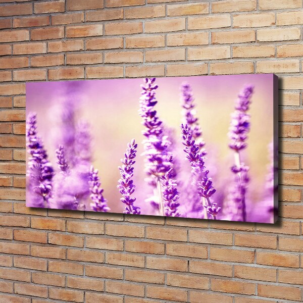 Cuadro canvas moderno de gran formato horizontal Lavanda