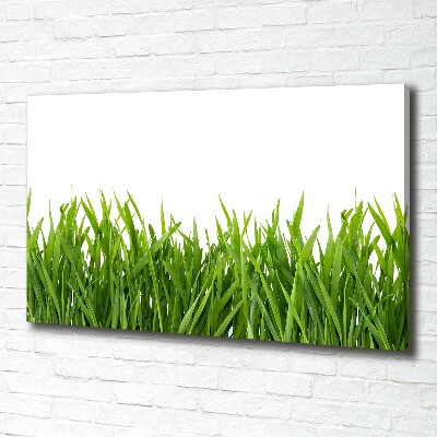 Foto en lienzo con acabado profesional horizontal Césped