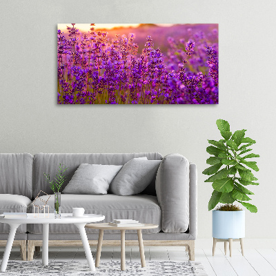 Fotocuadro en lienzo de alta calidad horizontal campo de lavanda