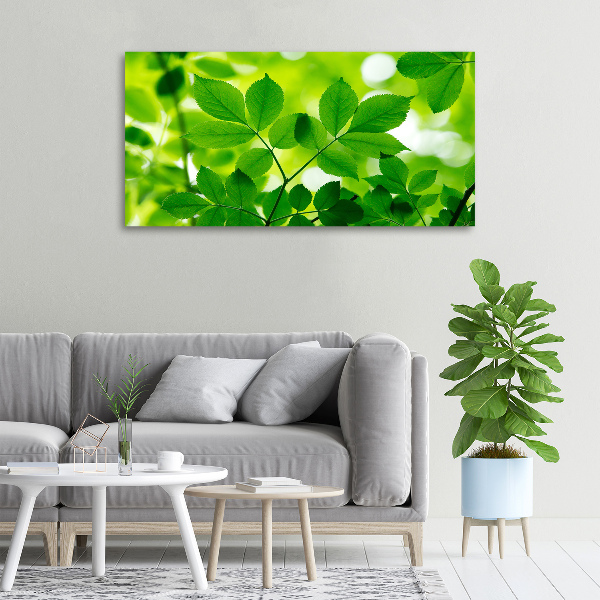 Cuadro canvas con impresión uv duradera horizontal hojas verdes