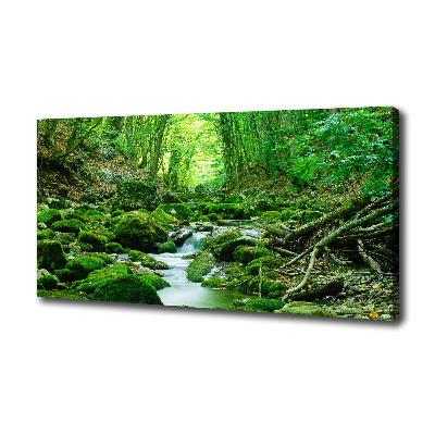 Cuadro canvas con impresión uv duradera horizontal Un arroyo en el bosque