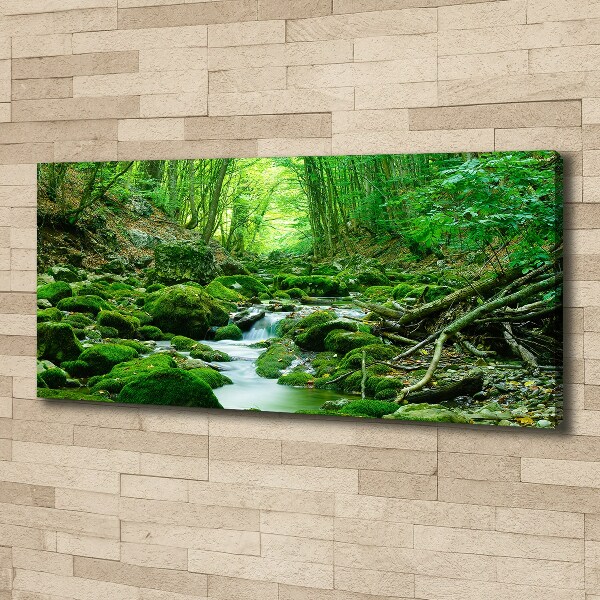 Cuadro canvas con impresión uv duradera horizontal Un arroyo en el bosque
