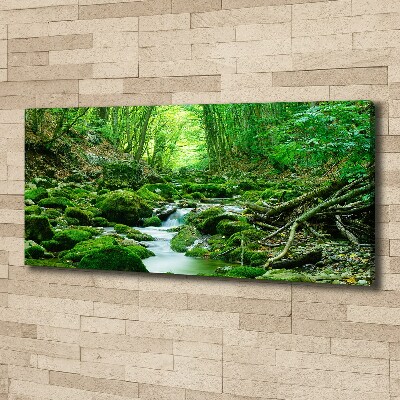 Cuadro canvas con impresión uv duradera horizontal Un arroyo en el bosque