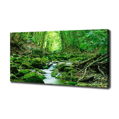Cuadro canvas con impresión uv duradera horizontal Un arroyo en el bosque